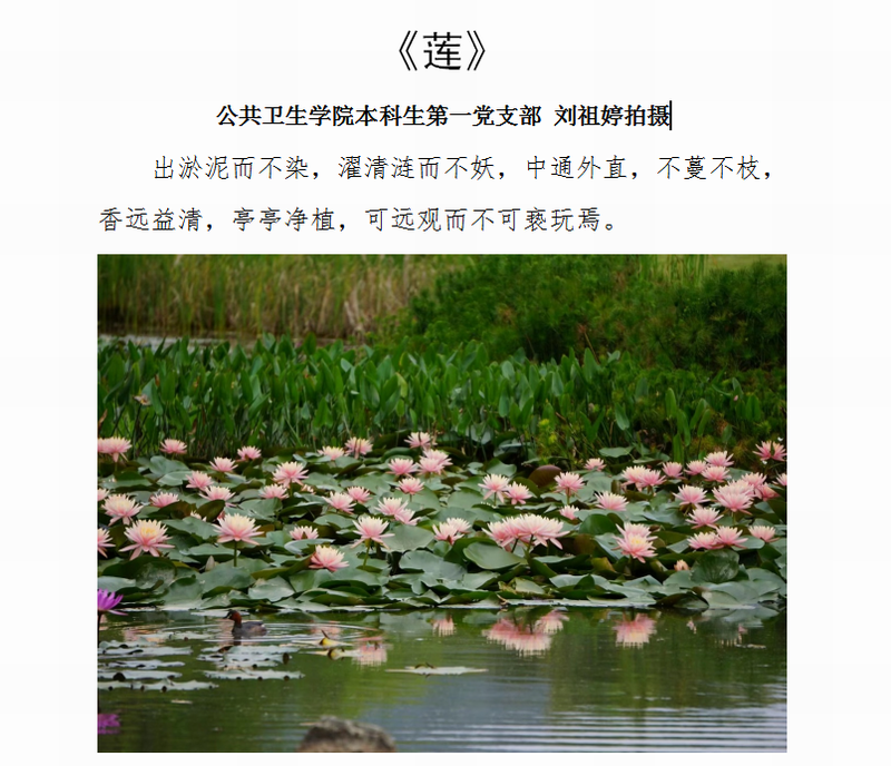 d17074b8067f4fc2a02145cccd9e5f59.png 微信图片_20230330115748.png