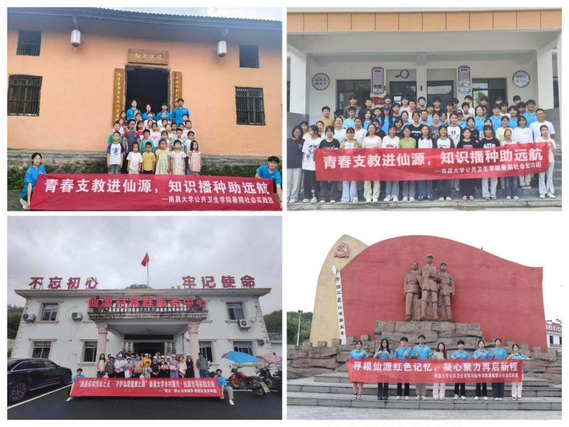 多元行动，赋能乡村