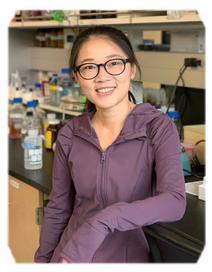 a772db1c9f9b4fec910ada5428e54afa.png 杜桂花1.png